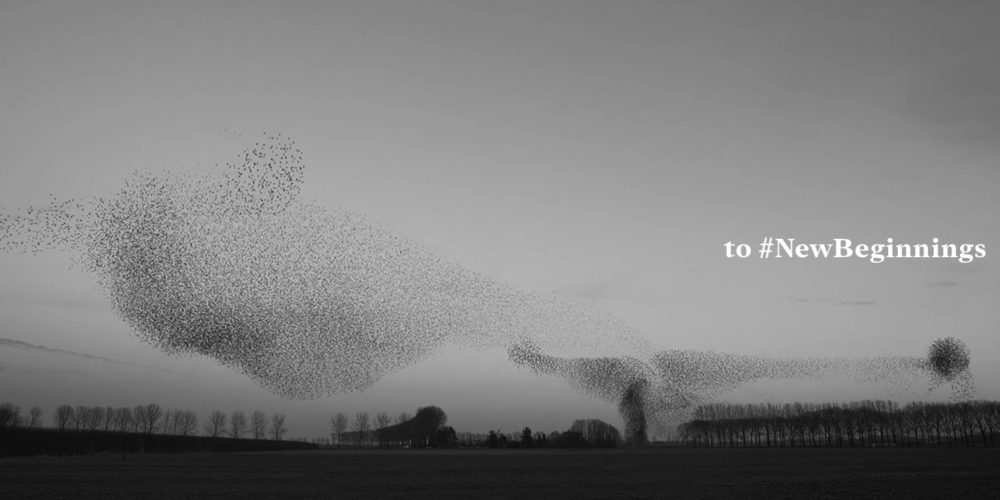 Wainer 'New Beginnings' TV commercial: campaign banner